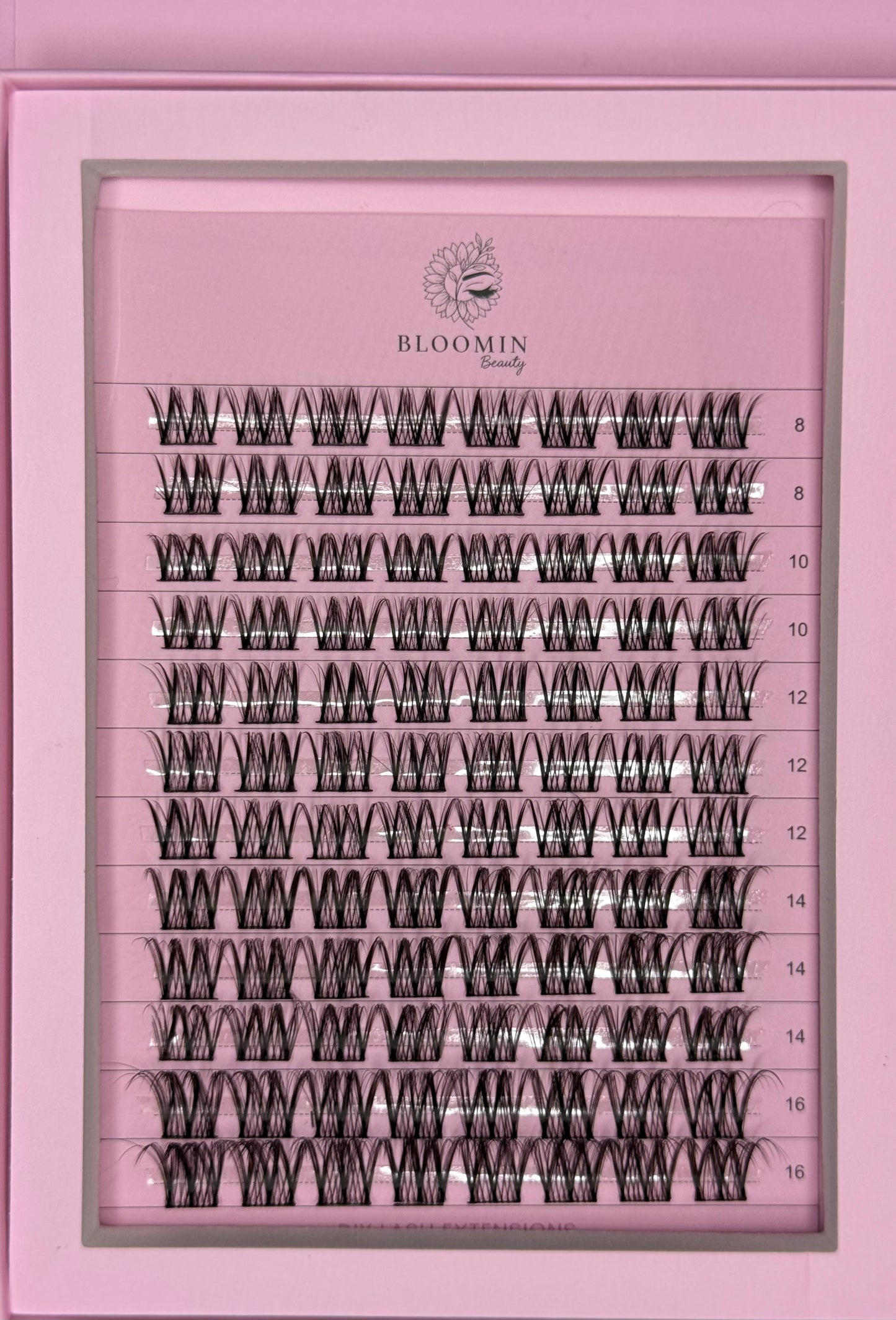 W59🌸